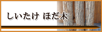 しいたけ ほだ木